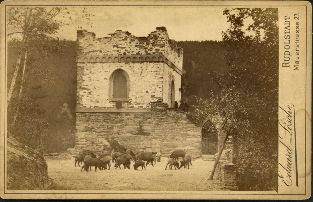 Eduard Lösche
Maurerstraße 27, Rudolstadt